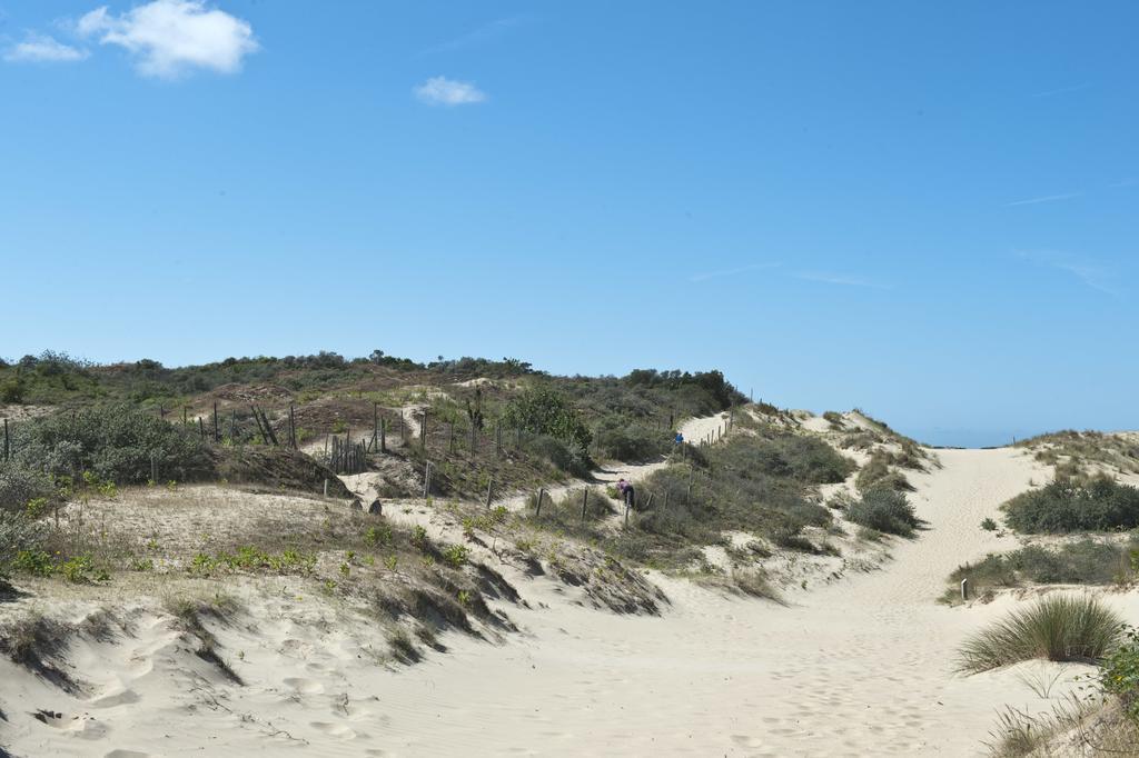 Evancy Etoile De Mer Bray-Dunes Eksteriør bilde